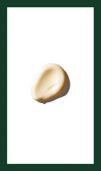 aveda men pure-formance